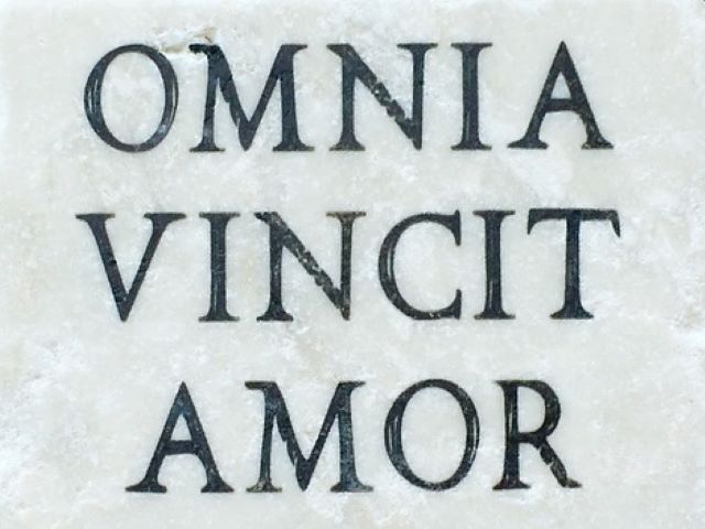frasi d'amore in latino