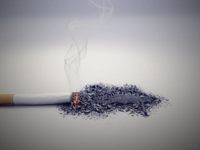 immagini contro il fumo 13